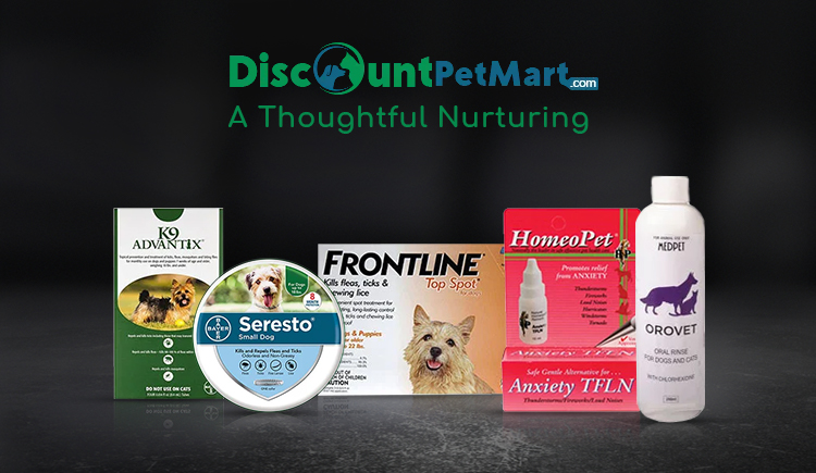 DiscountPetMart- A Thoughtful Nuturing