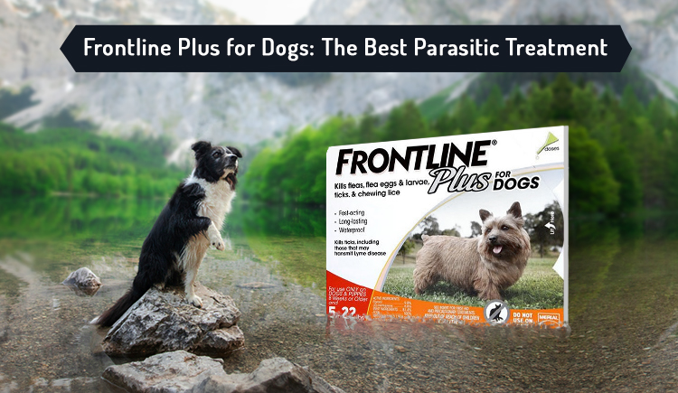 Frontline Plus for Dogs Online