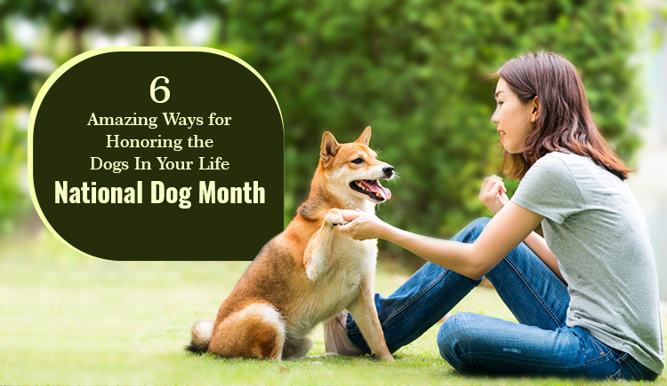 DPM-National-Dog-Month