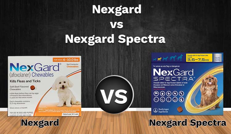 Nexgard VS Nexgard Spectra