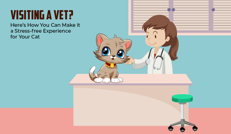 Stress-free experience for your cat while visiting a vet