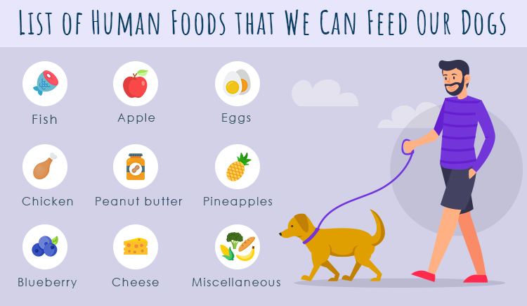 List of human foods that we can feed our dog