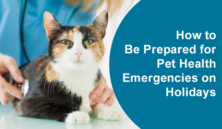 How to Be Prepared for Pet Health Emergencies on Holidays