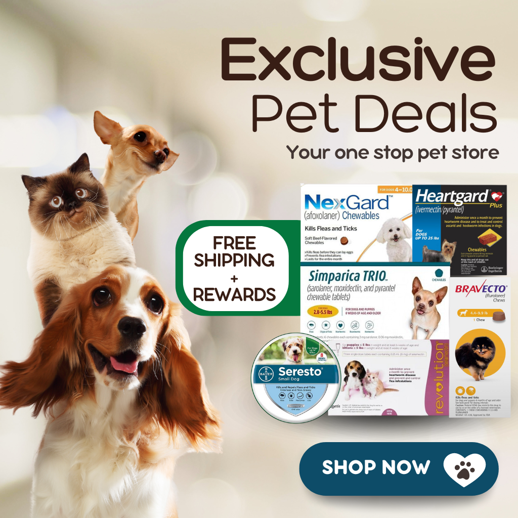Buy Pet Supplies Online