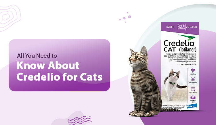 Credelio for cats