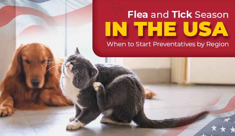 Flea and Tick Season in USA