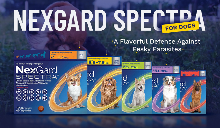 NexGard Spectra for Dogs