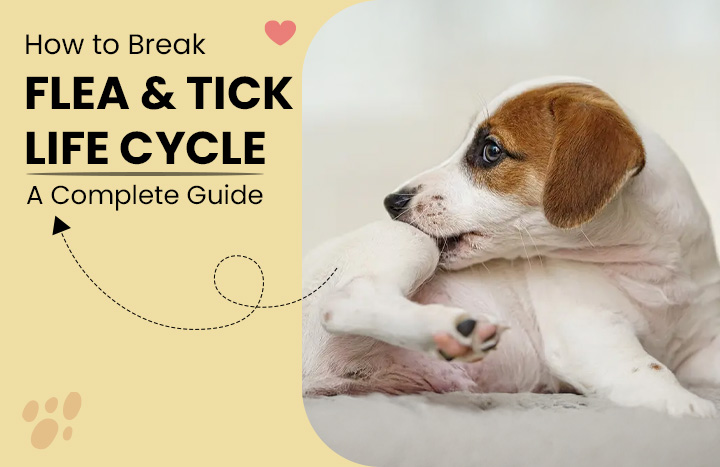 Break flea and tick life cycle