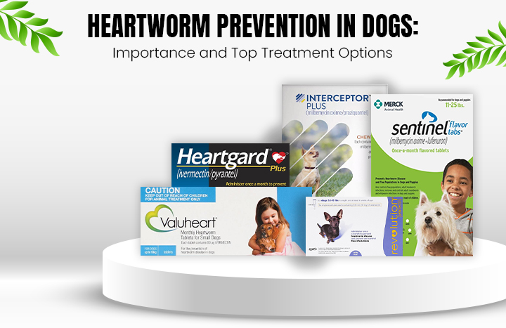 Heartworm Prevention Products