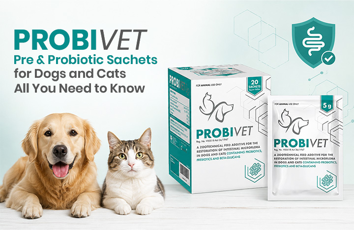 ProbiVet