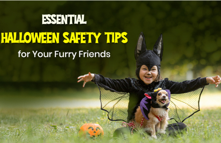 Halloween Safety Tips