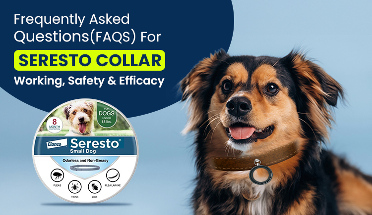 Seresto Collar for Dogs