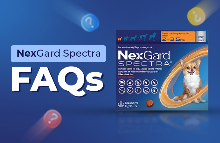 NexGard Spectra FAQs