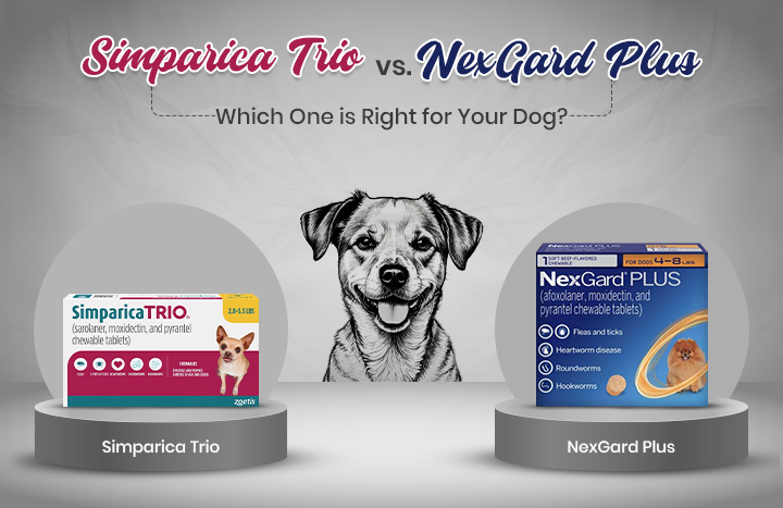 Simparica Trio vs. NexGard Plus