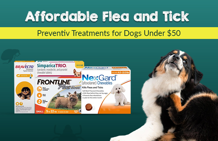 Cheap Flea and Tick