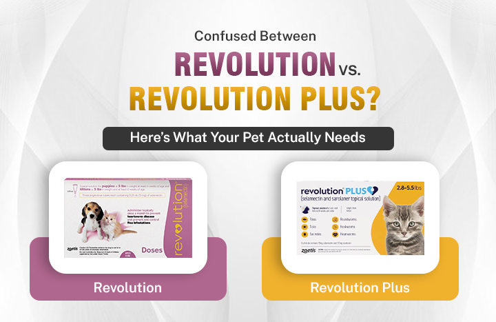 Revolution vs Revolution Plus