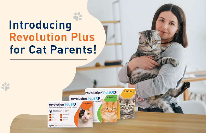 Revolution Plus for Cat