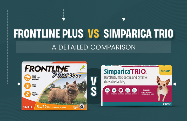 Frontline Plus