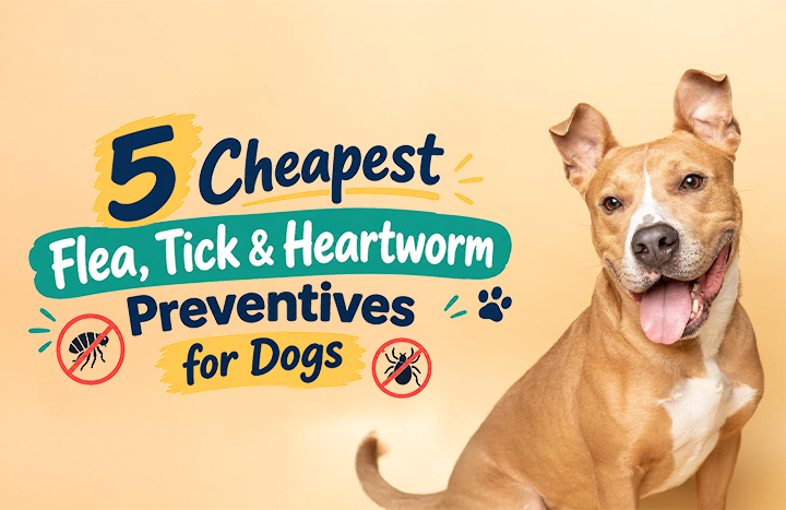 Flea Tick and Heartworm Prevention