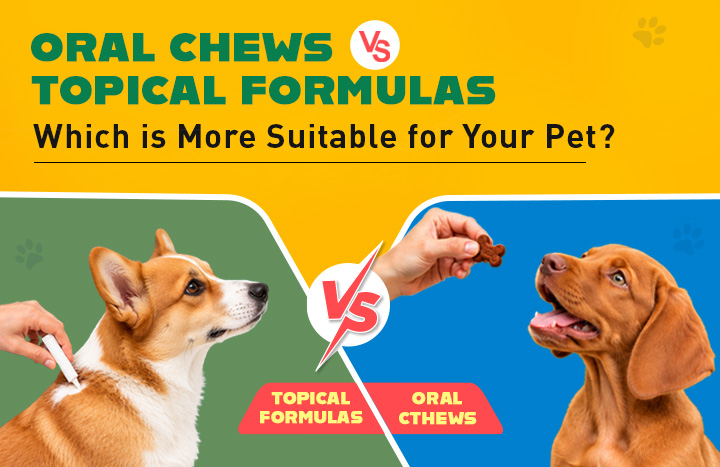 Oral Chews vs.Topical Formulas