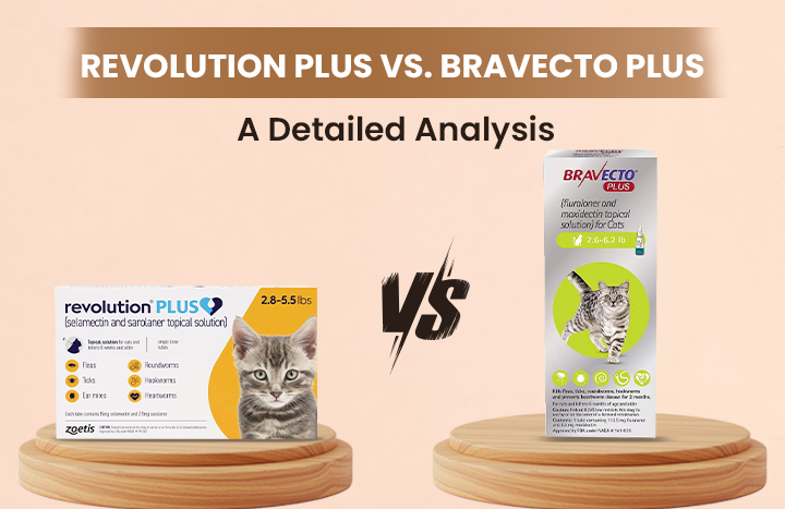 RevolutionPlus vs BravectoPlus