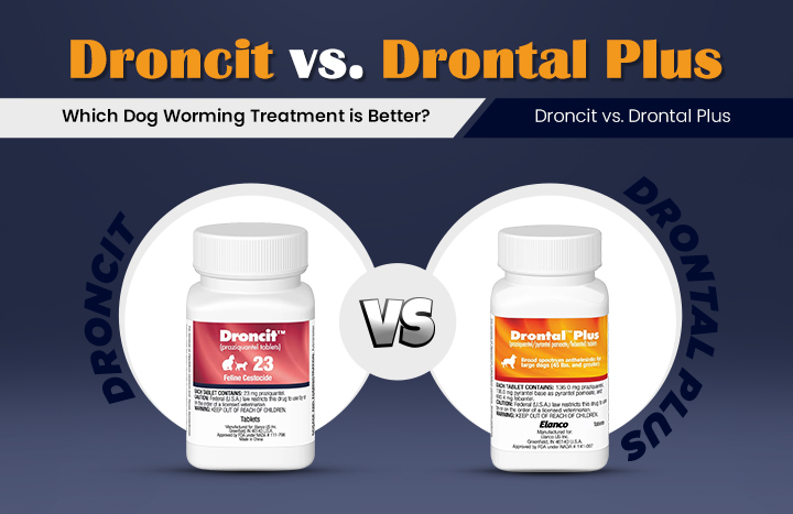 Droncit vs Drontal Plus