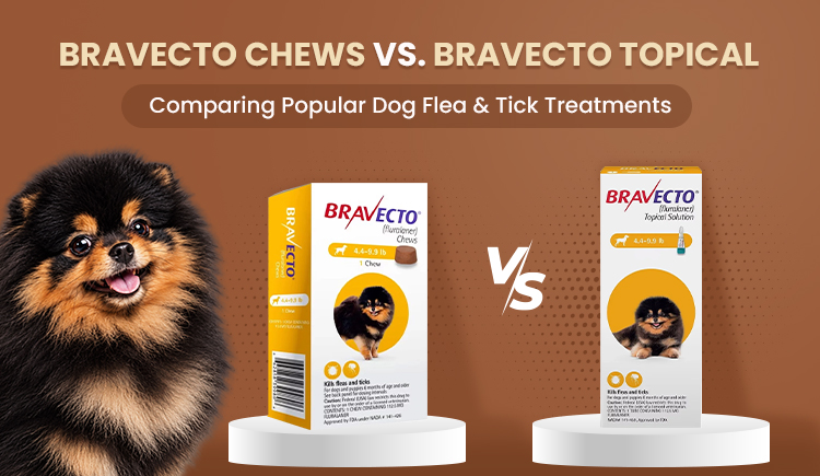 Brevecto Chew VS Brevecto Topical